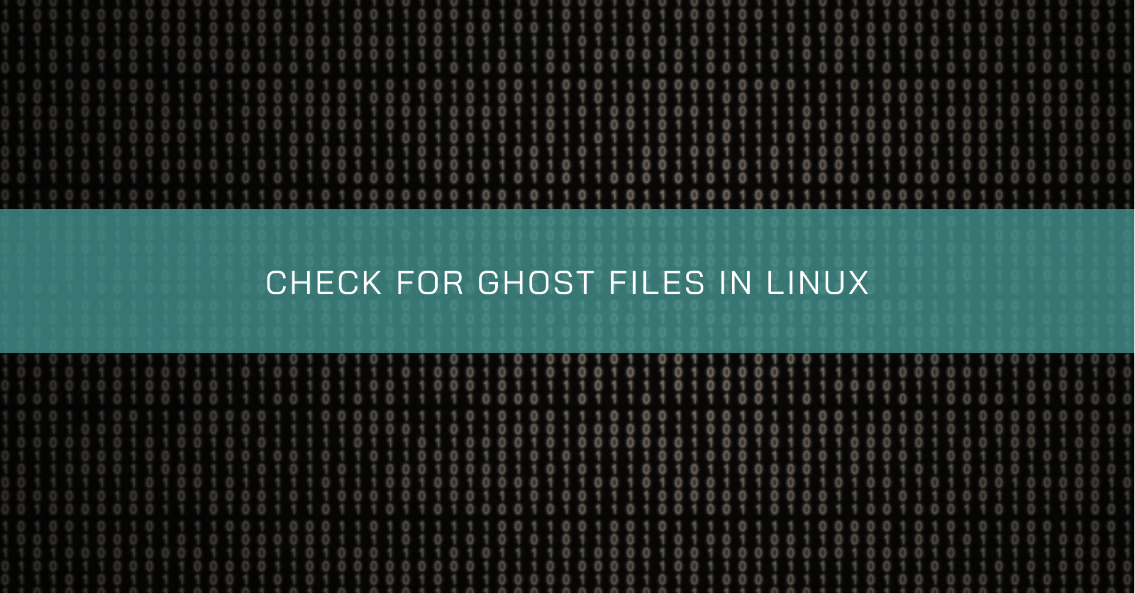 /check-for-ghost-files-in-linux/banner.en.png