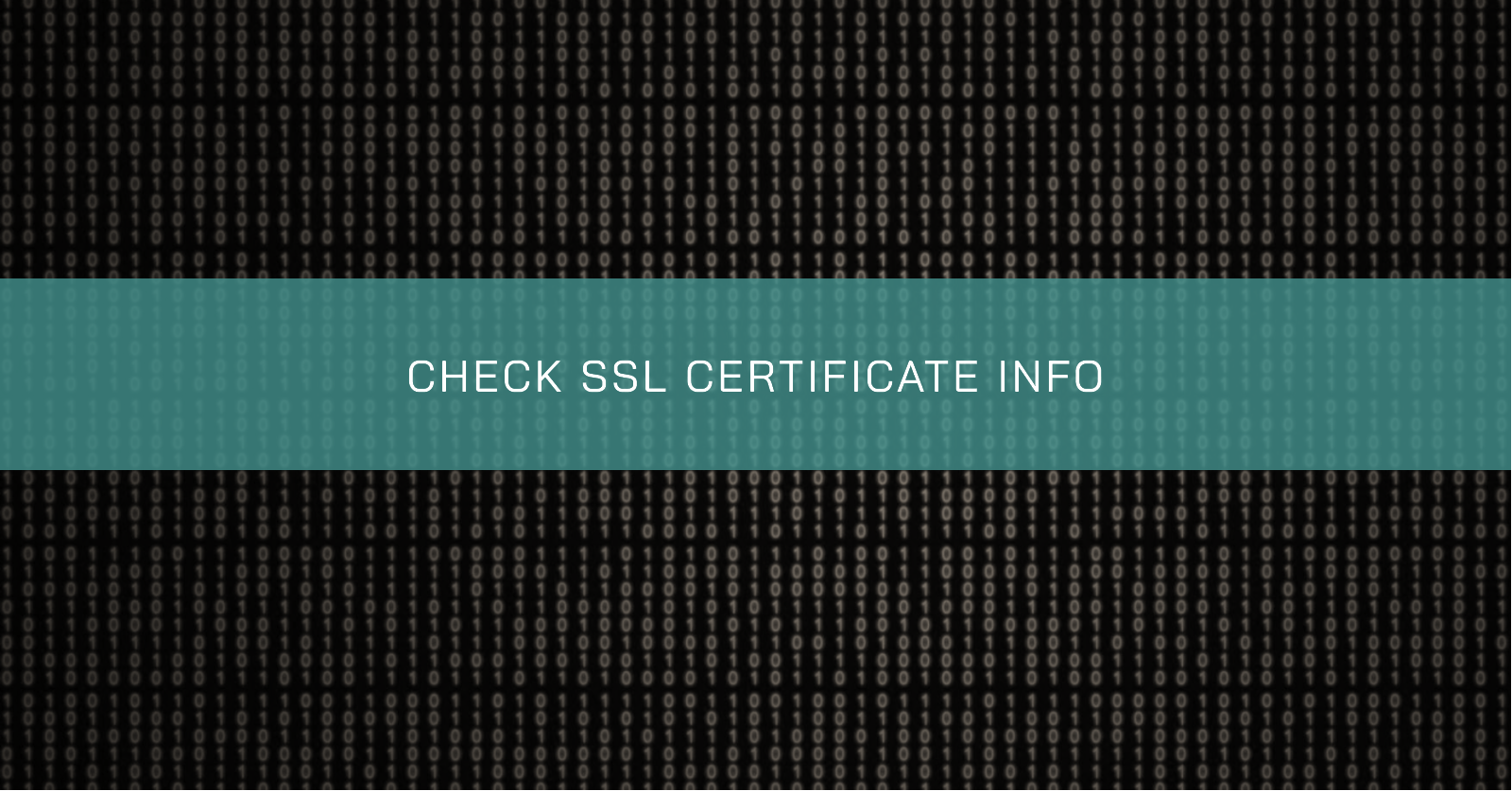 /check-ssl-certificate-info/banner.en.png
